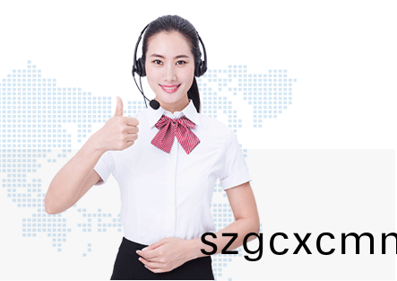 普(pu)賽特服務優勢(shi)