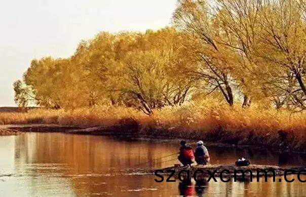 1602151279755492.png 百度(xin)圖片(pian)_20201008155629.png