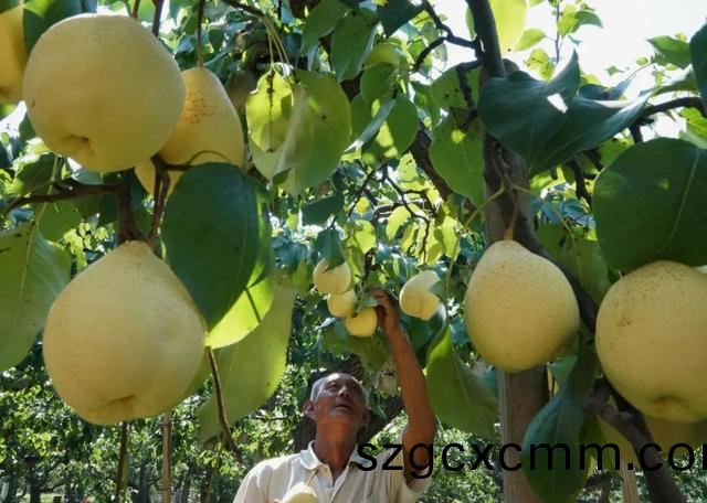 1602151311788024.png 百度圖片_20201008161416.png